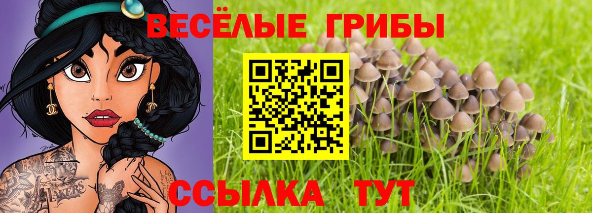Энгельс  Галлюциногенные грибы Magic Shrooms  Вход с VPN 