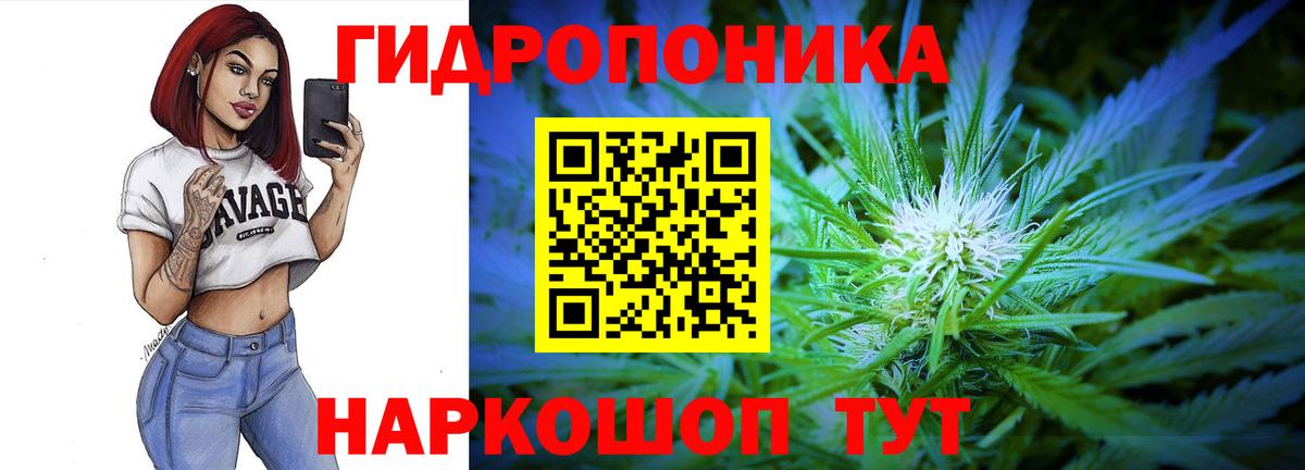 Канабис индика  Конопля LSD WEED  Бошки Шишки THC 21%  Вход с VPN  Марихуана план  Энгельс 